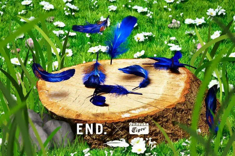 THE-END-X-COLORADO-EIGHTY-FIVE-BLUEBIRD-1